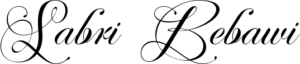 Sabri G. Bebawi signature